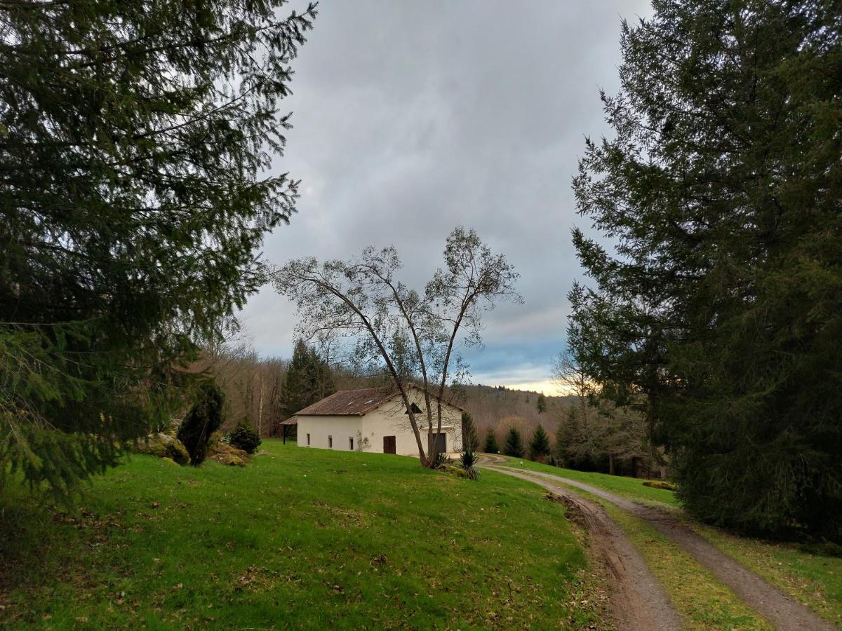 "Le Petit Bonheur" Gite Van 4 Tot 12 Personen Met Prive Vijver Van 2Ha Maisonnais-Sur-Tardoire Exteriör bild